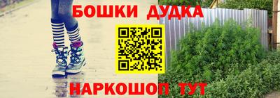 СК Лесосибирск