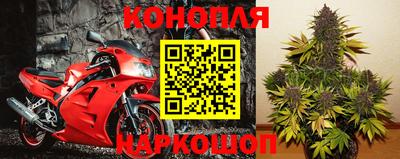 СК Лесосибирск